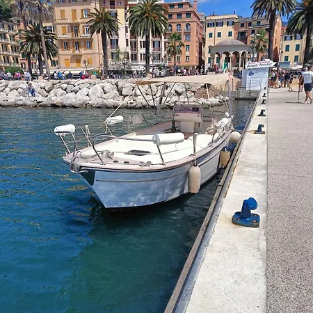 Oro Apartment, Διαμέρισμα